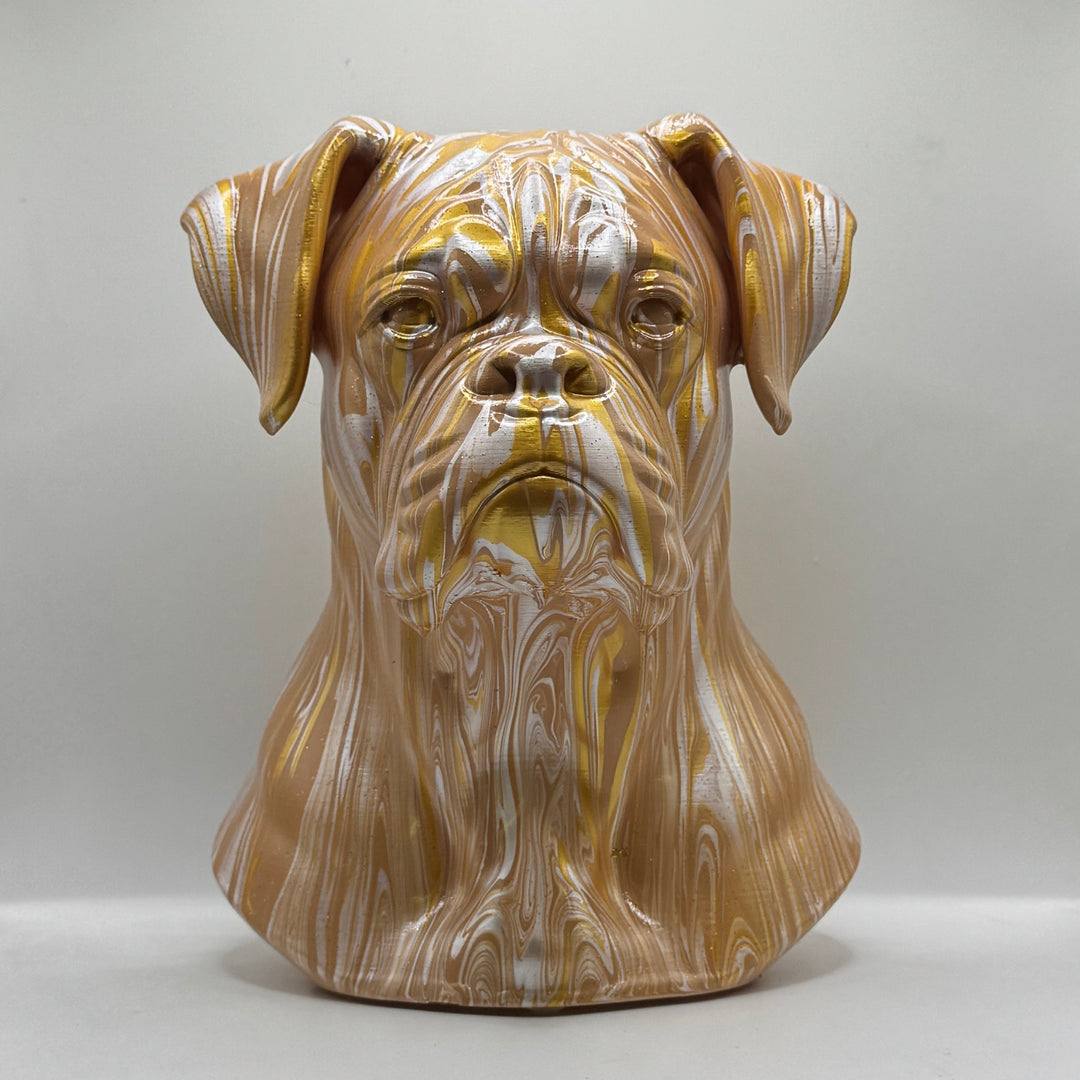 Boxer Head