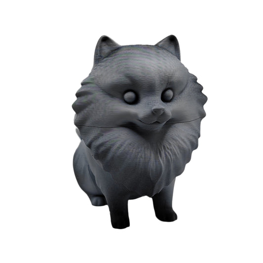 Pomeranian