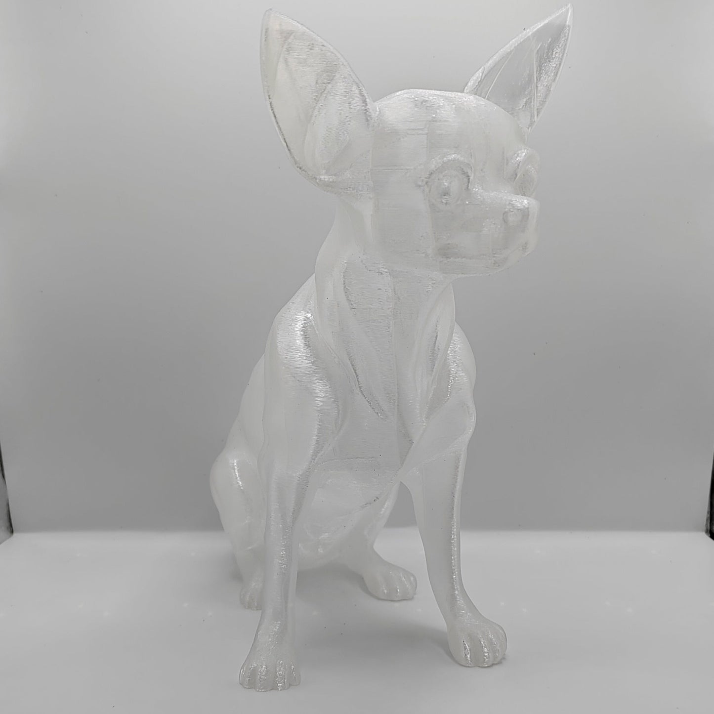 Chihuahua