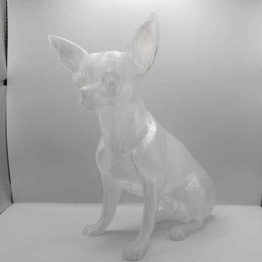 Chihuahua
