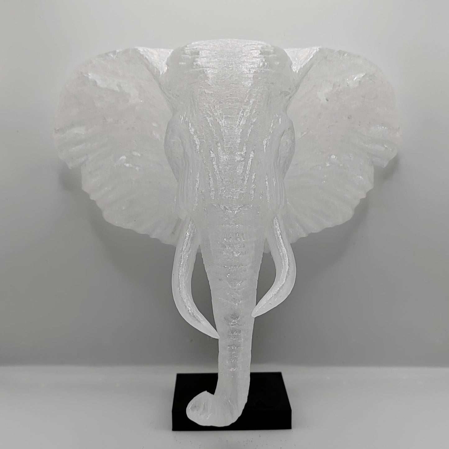 Elephant Head