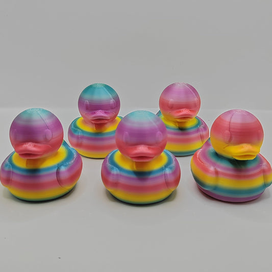 Rainbow Ducks