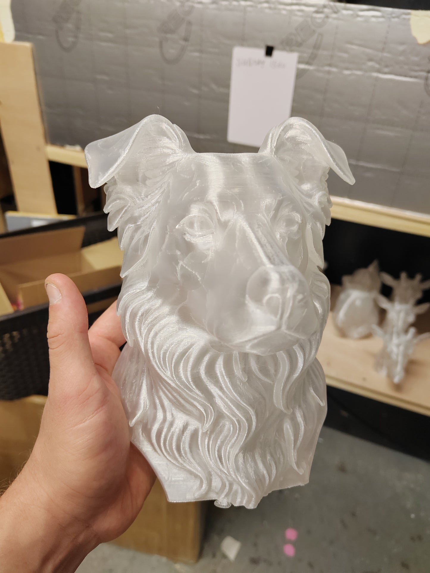 Boarder Collie Bust