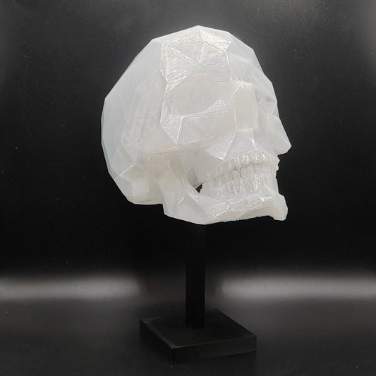 Blank Skull