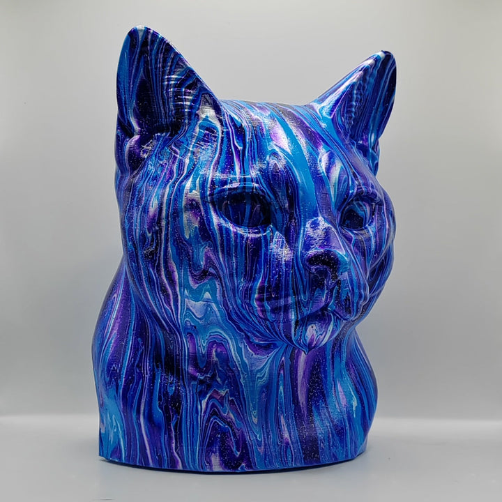 European Shorthair Head – Hand Painted