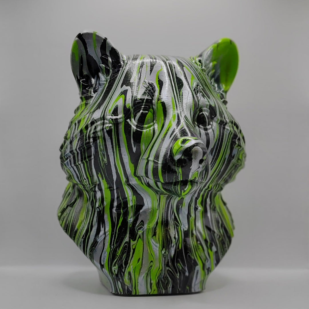 Raccoon Head – Hand Painted