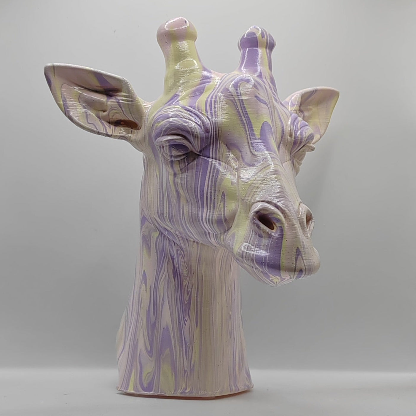 Giraffe Head – Hand Painted