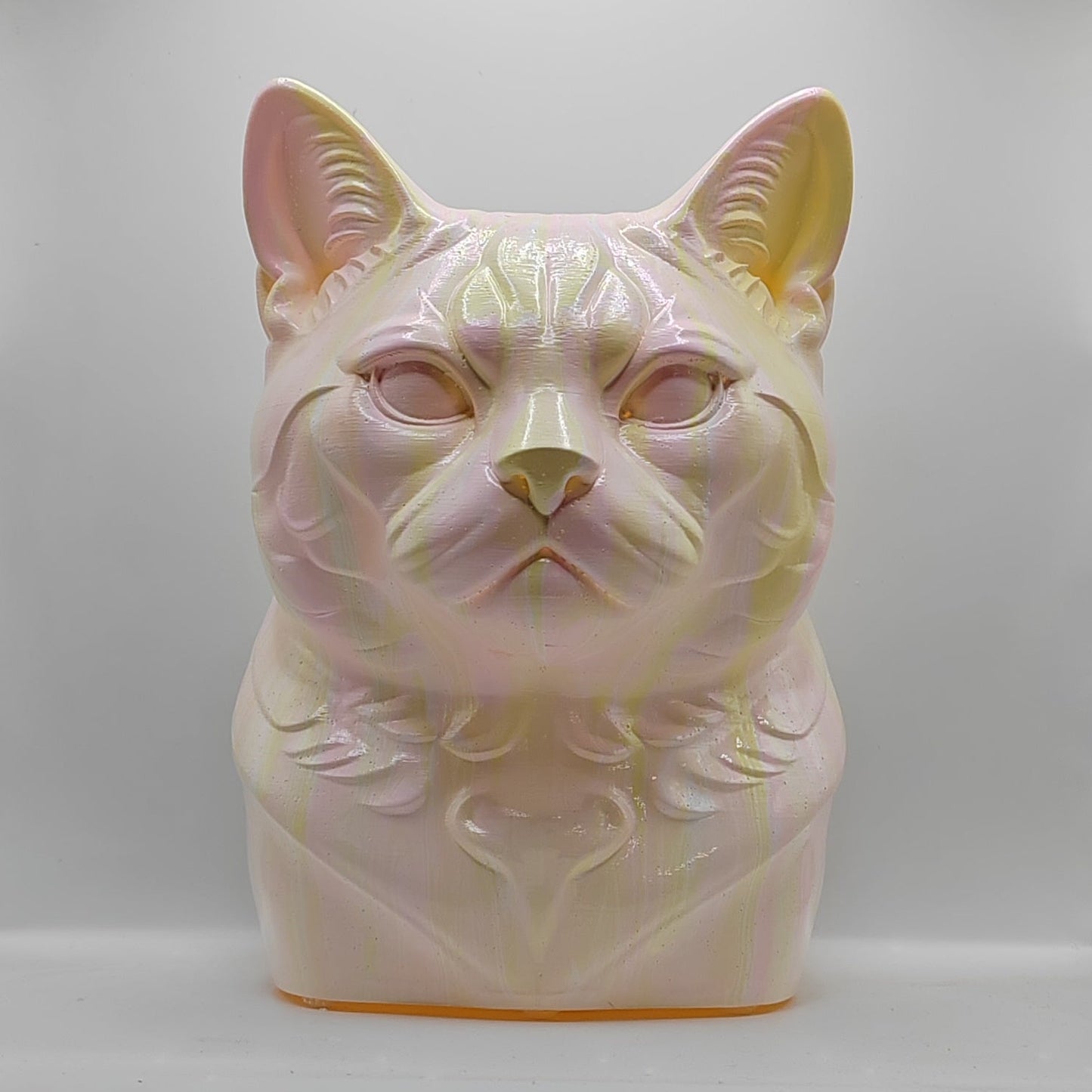 American Shorthair Head – Hand Painted