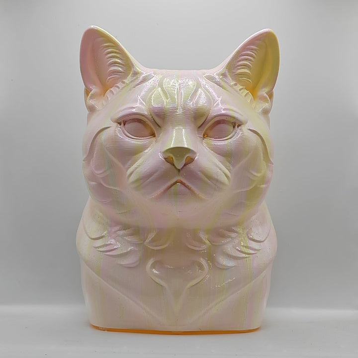 American Shorthair Head – Hand Painted