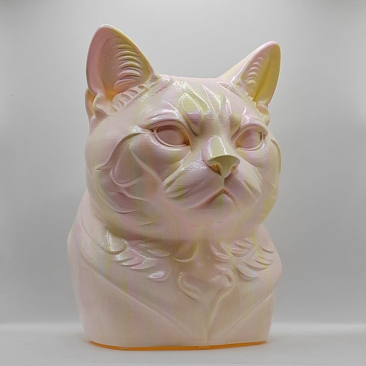 American Shorthair Head – Hand Painted