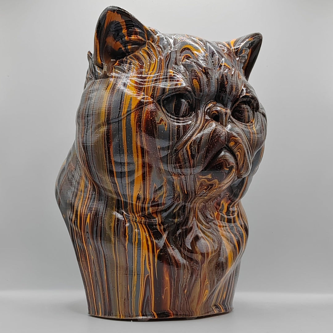 Exotic Shorthair Head – Hand Painted