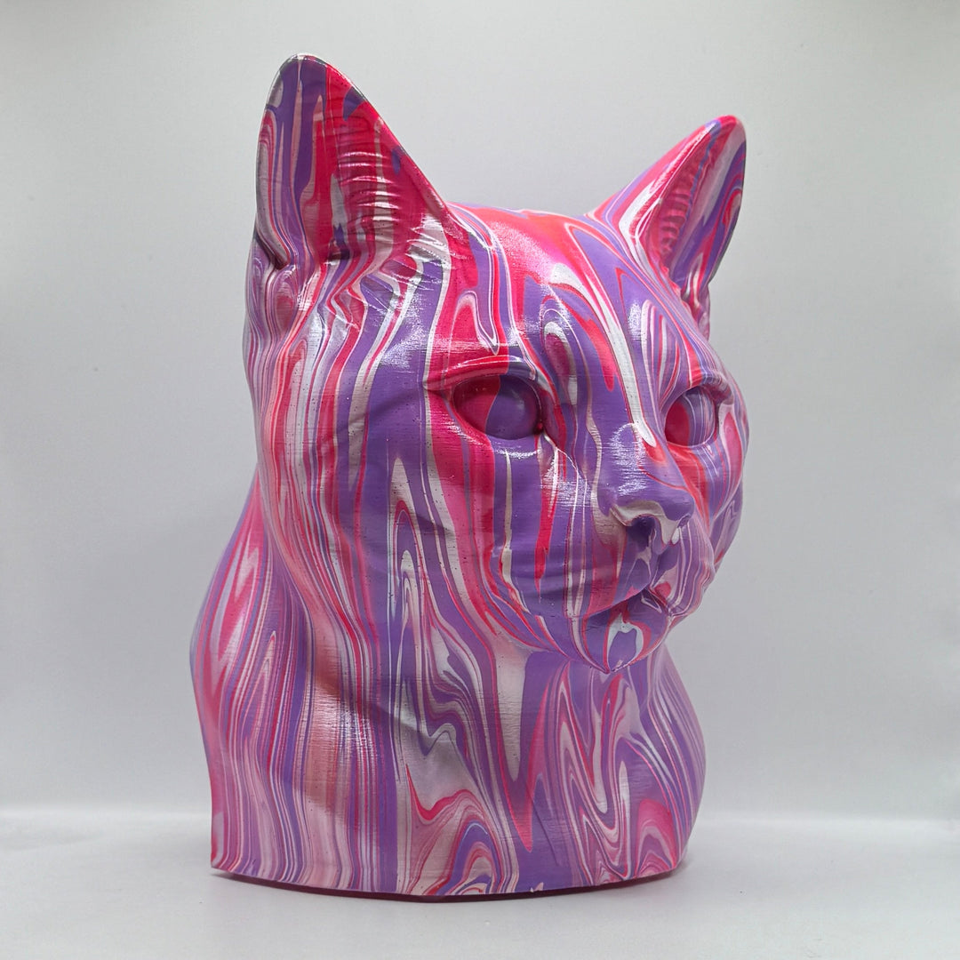 European Shorthair Head