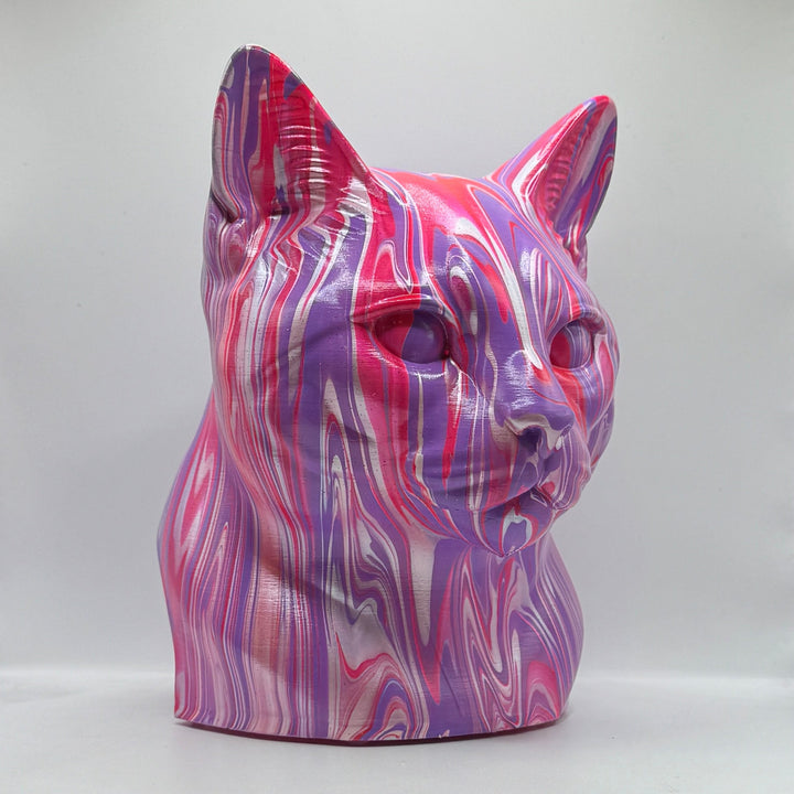 European Shorthair Head