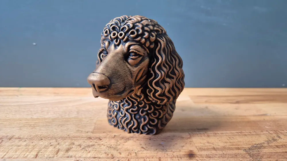 Irish Water Spaniel Head – Hand Painted