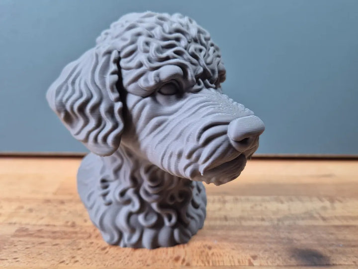 Lagotto Romagnolo Head – Hand Painted