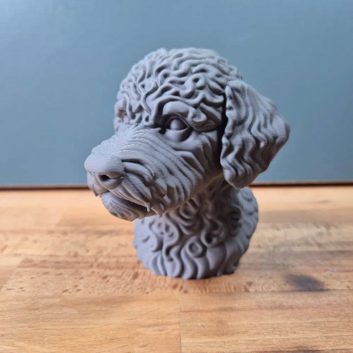 Lagotto Romagnolo Head – Hand Painted