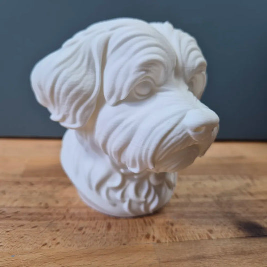 Maltese Bust