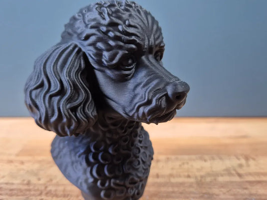 Miniature Poodle Bust