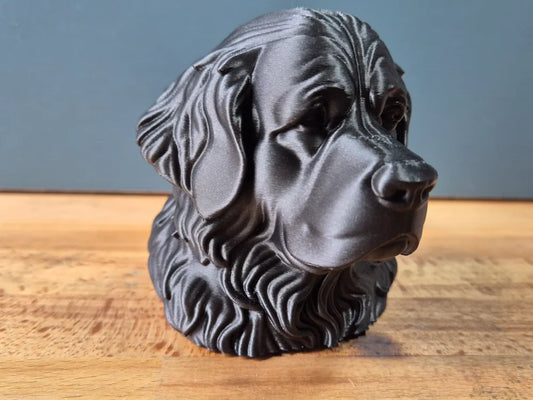 Newfoundland Bust