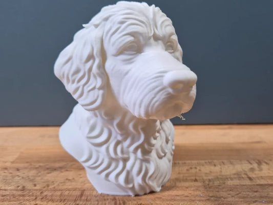 Newfypoo Bust