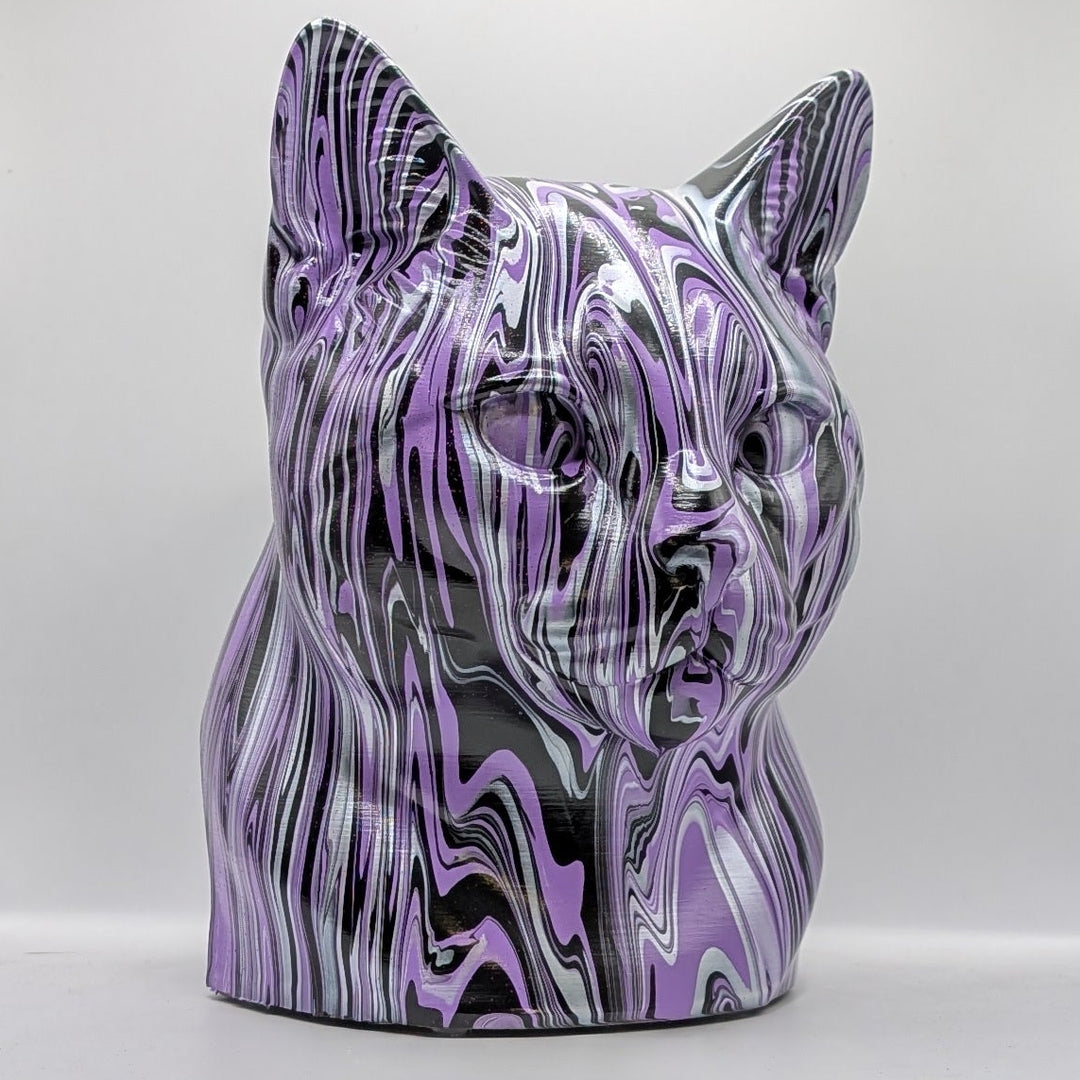 European Shorthair Head – Hand Painted