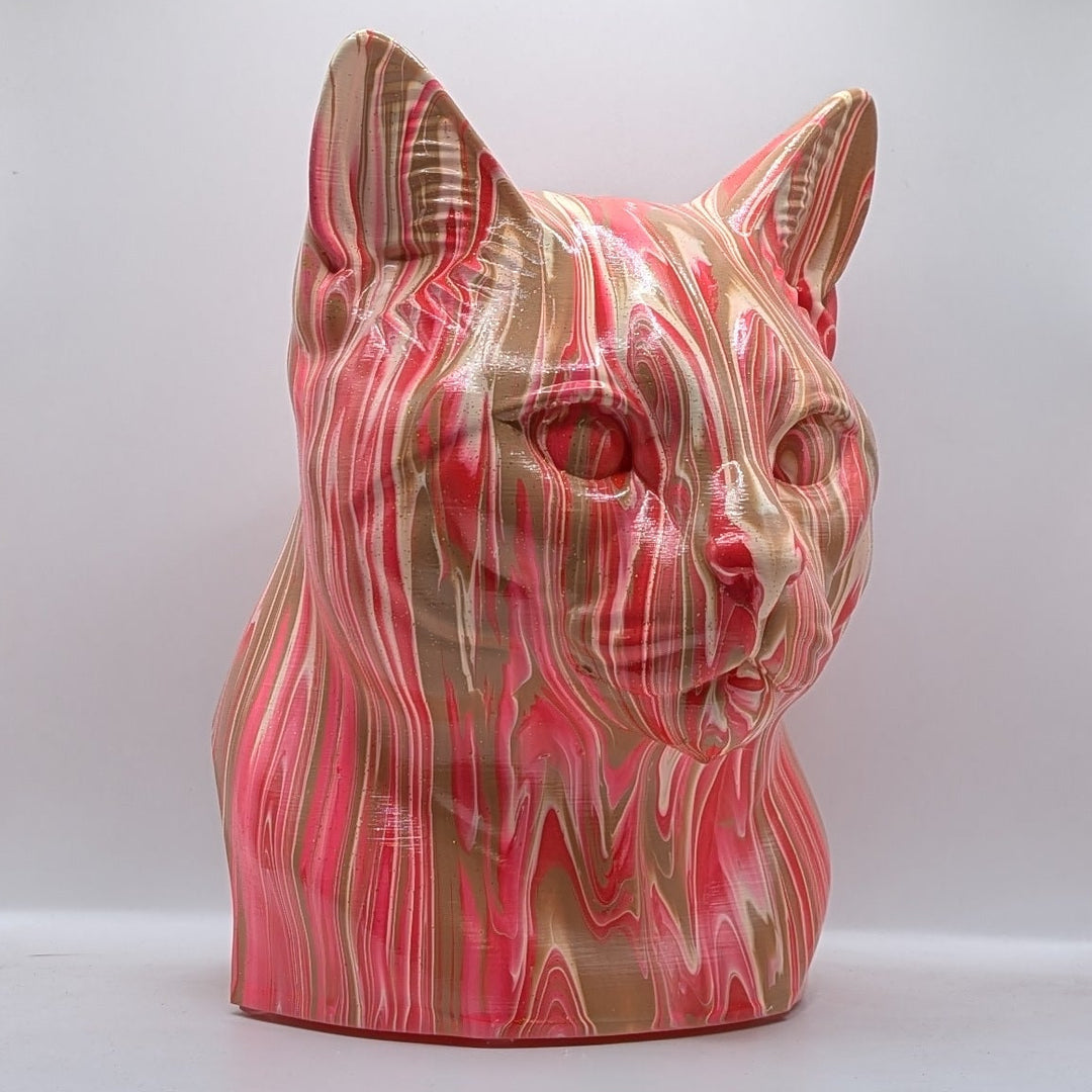 European Shorthair Head – Hand Painted