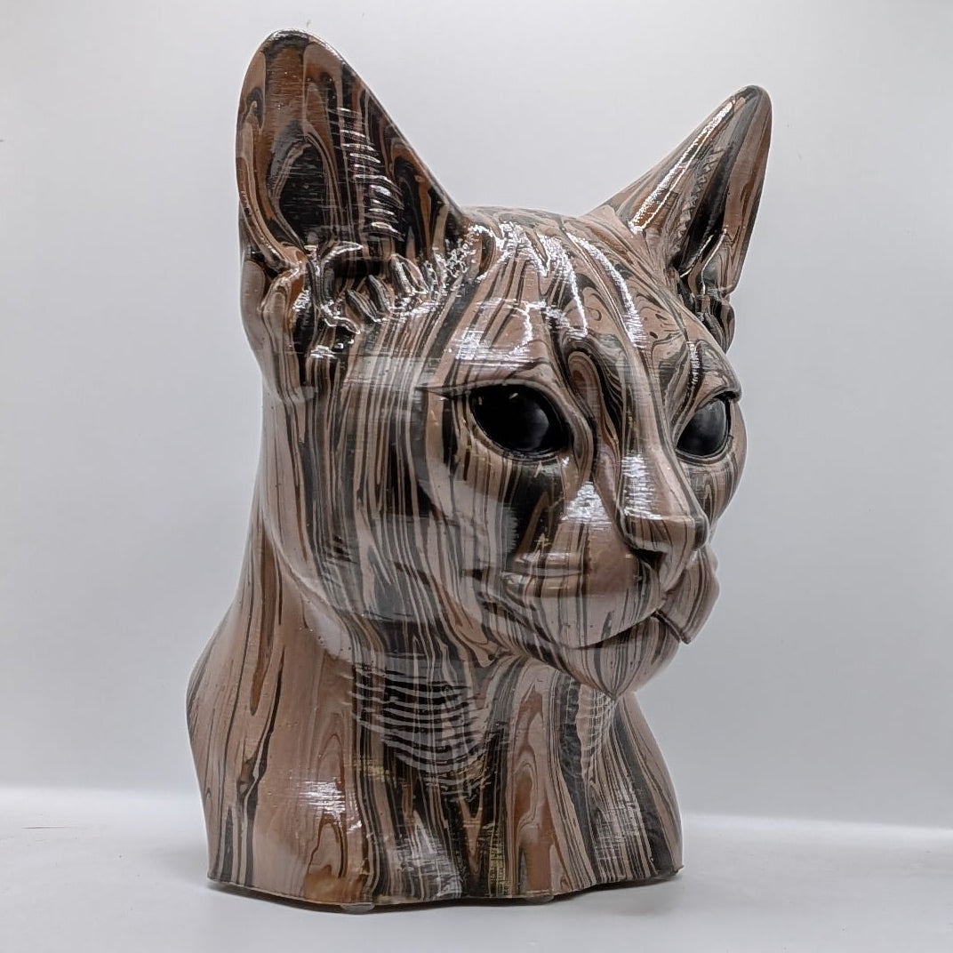 Abyssinian Cat Head – Hand Painted