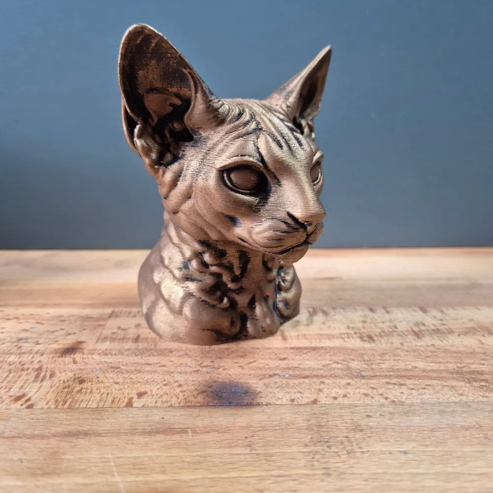 Rex Cornish Head – Hand Painted