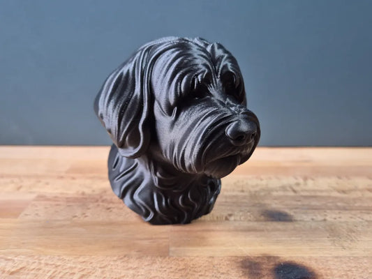 Tibetan Terrier Bust
