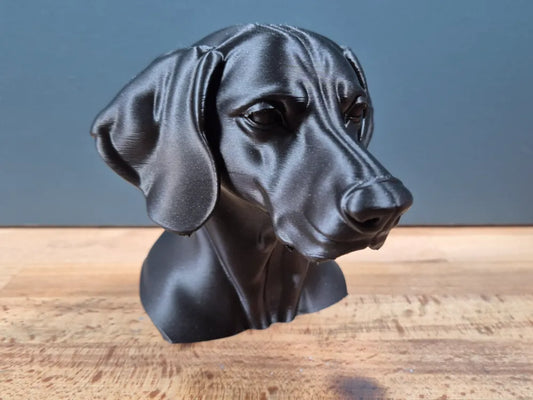 Weimaraner Bust