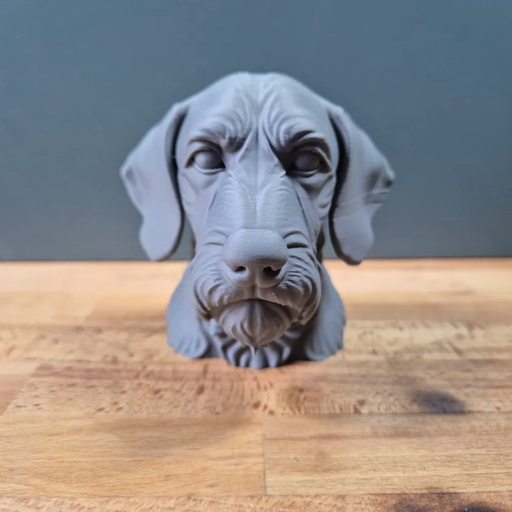 Wirehaired Vizsla Head – Hand Painted