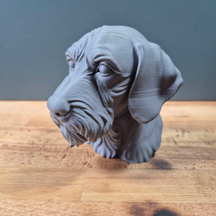 Wirehaired Vizsla Head – Hand Painted