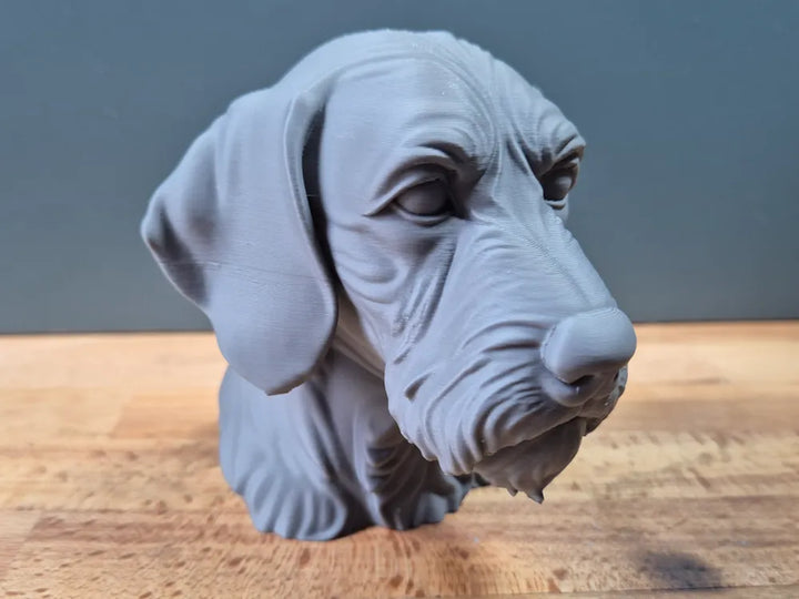 Wirehaired Vizsla Head – Hand Painted
