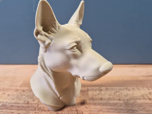 Belgian Malinois Bust