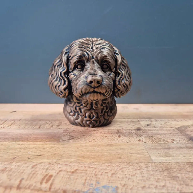 Cavapoo Bust