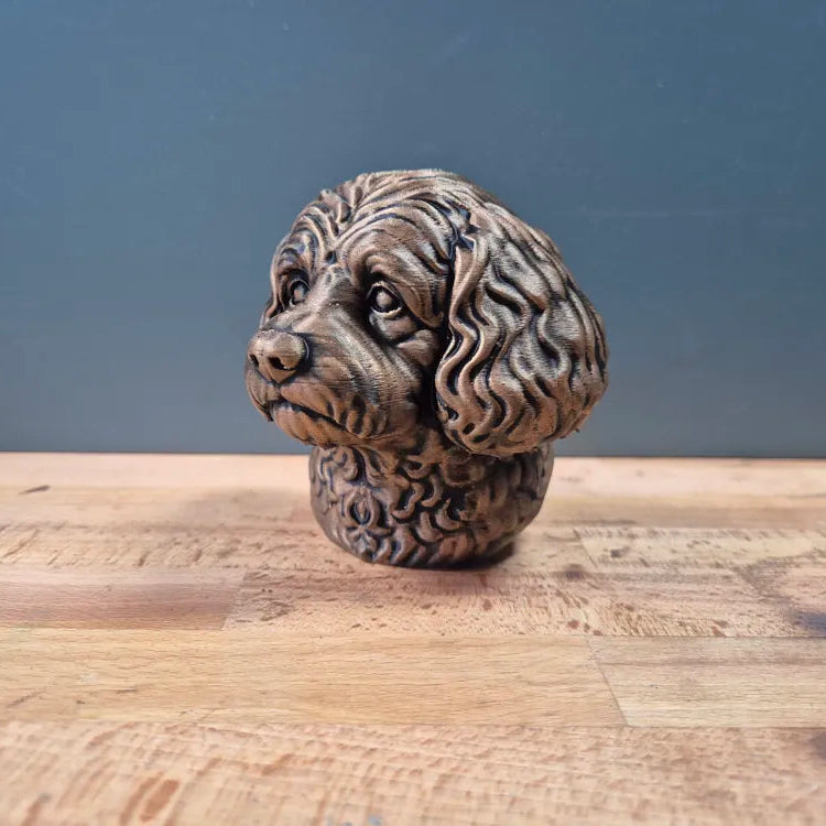 Cavapoo Bust