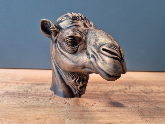 Camel Bust