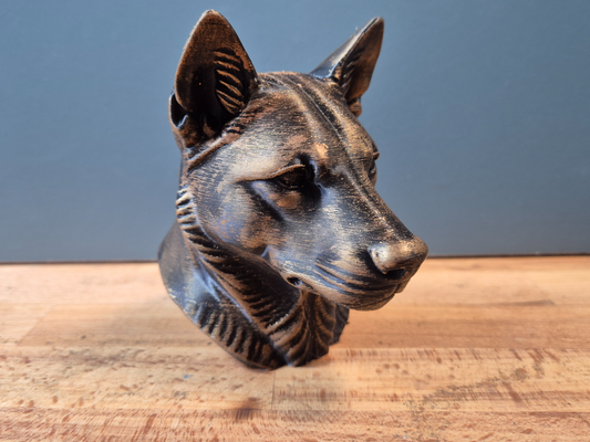 Dingo Bust