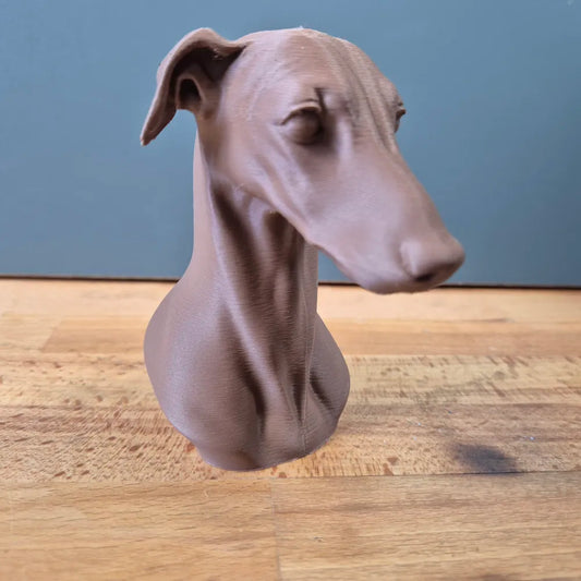 Greyhound Bust