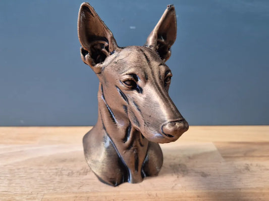 Pharaoh Hound Bust