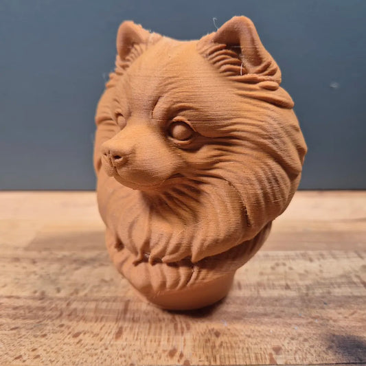 Pomeranian Bust