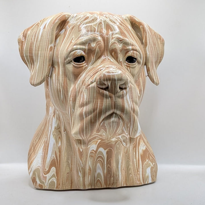 Cane Corso Head – Hand Painted