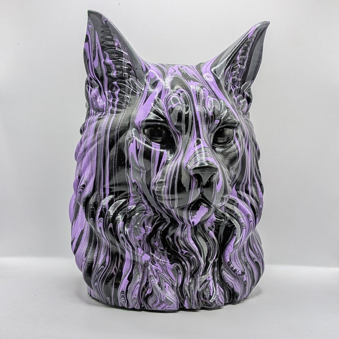 Maine Coon Head – Hand Painted