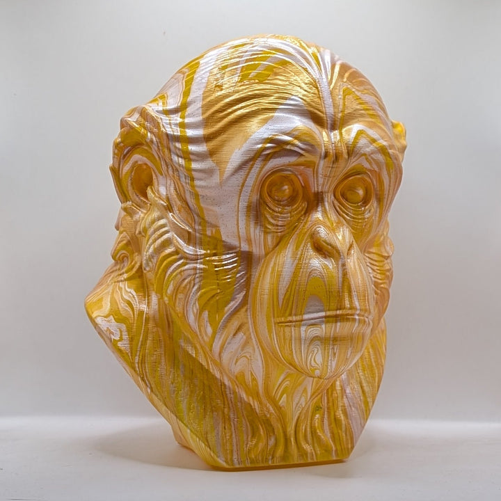 Gibbon Head – Hand Painted